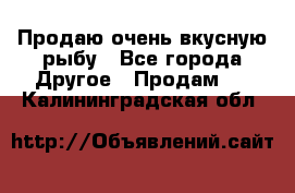 Продаю очень вкусную рыбу - Все города Другое » Продам   . Калининградская обл.